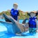 Two boys standing next to and petting a dolphin in a pool